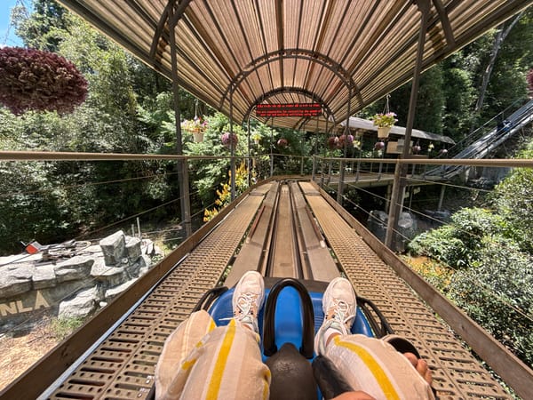 Early morning toboggan rides and flower displays in Da Lat