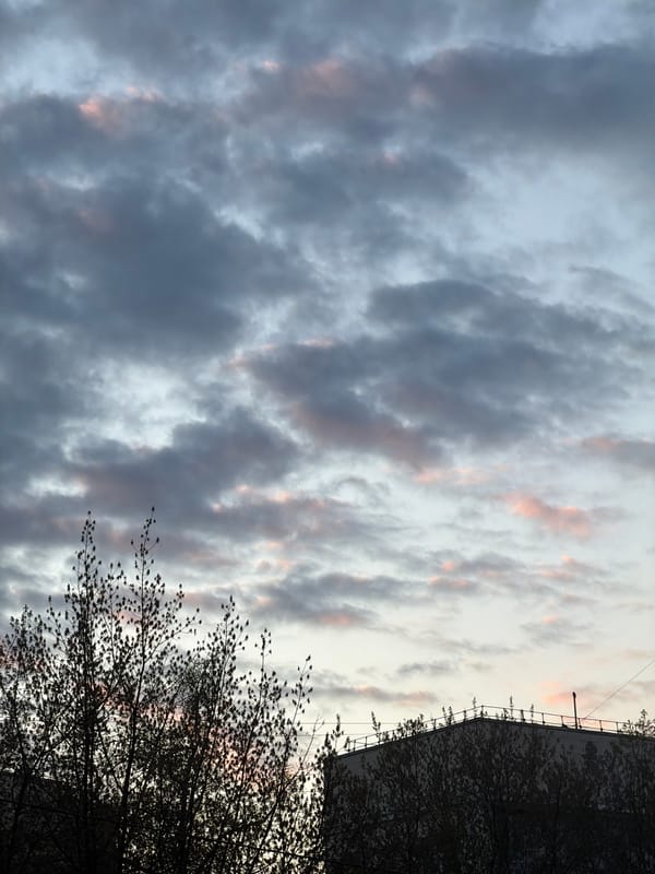 Moscow sunset and elevator selfie captured in ordinary Friday moments