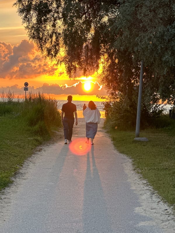 Baltic sunset along the Tallinn shoreline, bikes and all.
