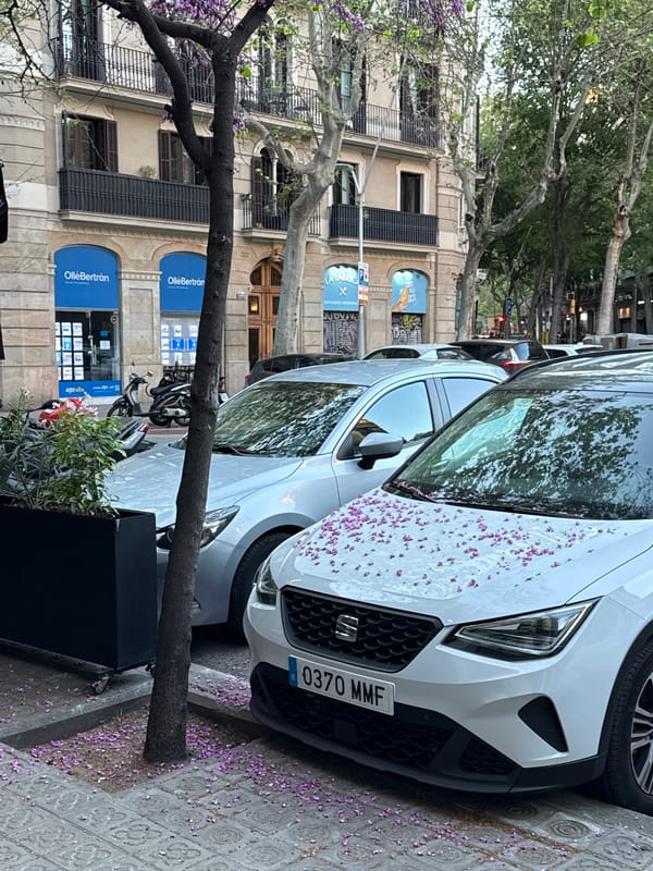 Casual Barcelona street scenes documented during evening hours
