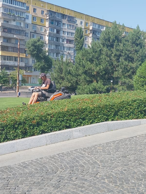 Dnipro park on a summer morning, grounds in good shape