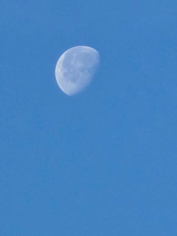 Morning forest walk in Kelsterbach with moon shots