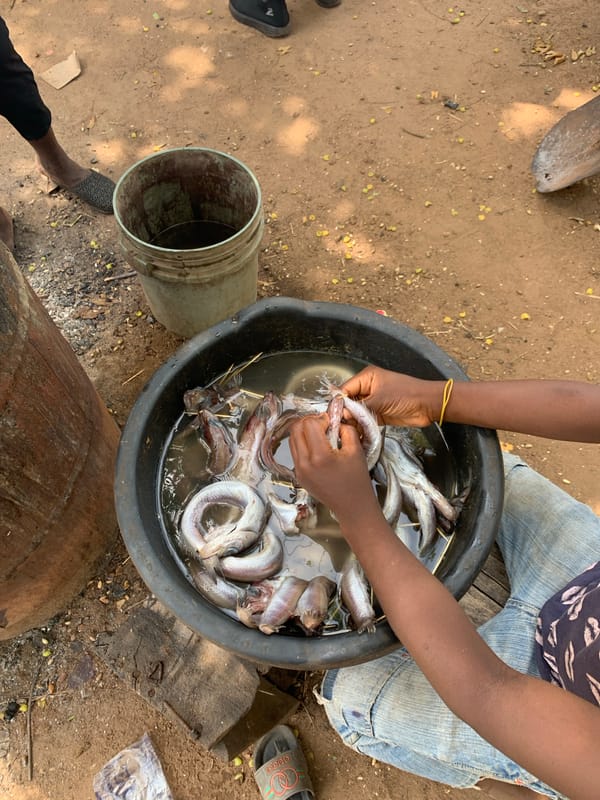 Routine market day activities documented in Ilorin, Nigeria