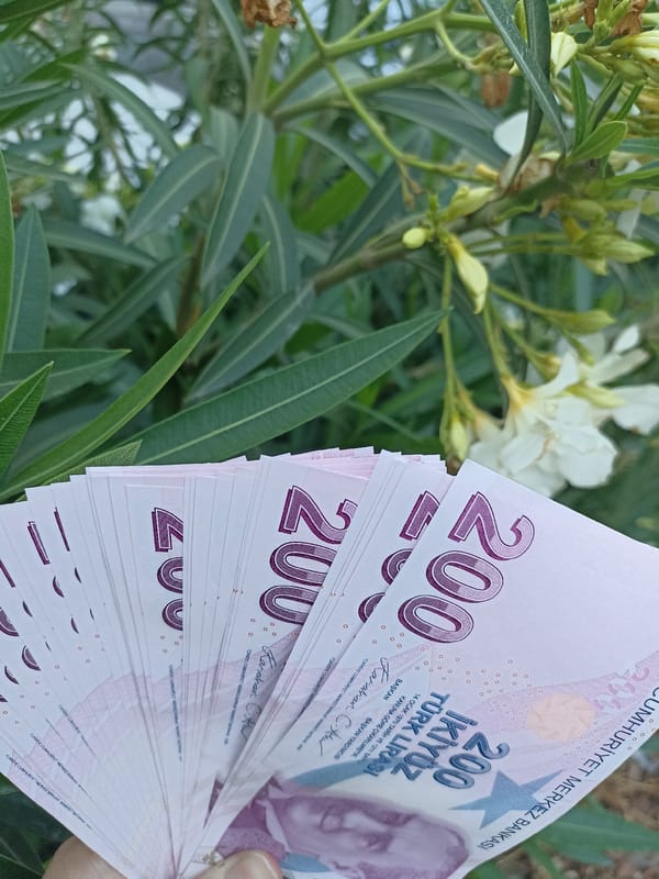 Daily life unfolds in Turkish neighborhood: cats, commerce, currency