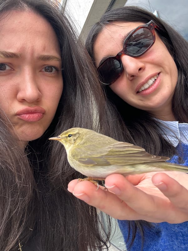Women photograph small bird encounter in Armenian village