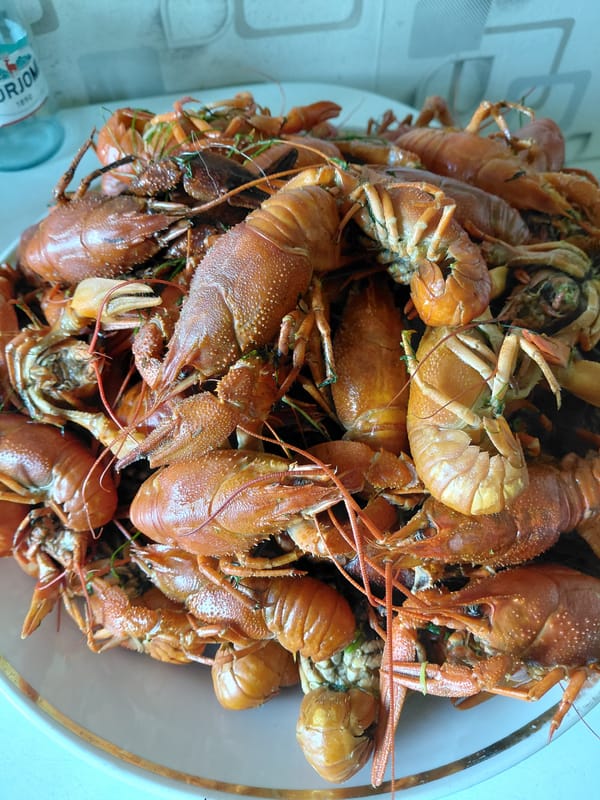 Lazy afternoon in Karaganda: crawfish and downtime