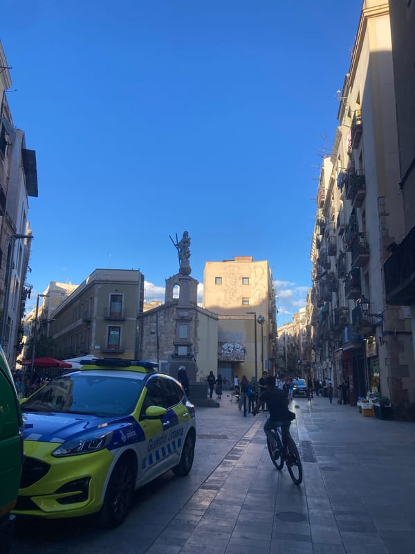 Police car and pedestrian spotted on urban street
