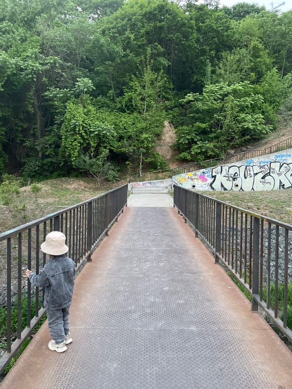 Ordinary morning moments captured across Vladivostok neighborhoods