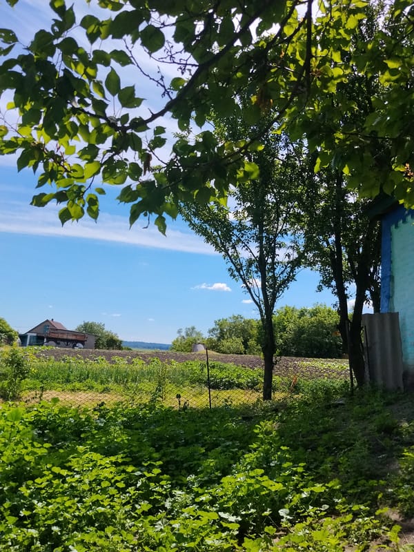 Rural Ukrainian village scenes on sunny morning