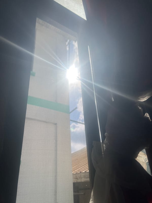 Morning window views captured from Dar es-Salaam building interior