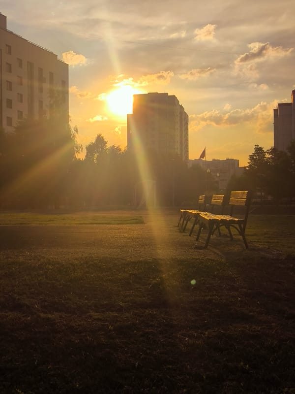 Urban Life Scenes Documented Across City During Afternoon Hours