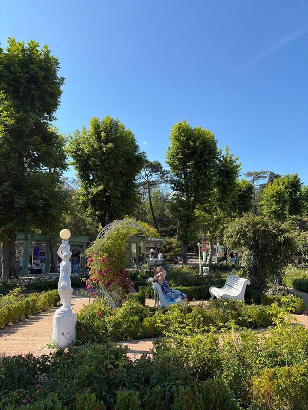 Walking tour through Sochi parks, neighborhoods and shops