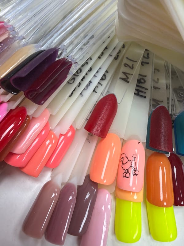 Nail salon color sampling session in Budva