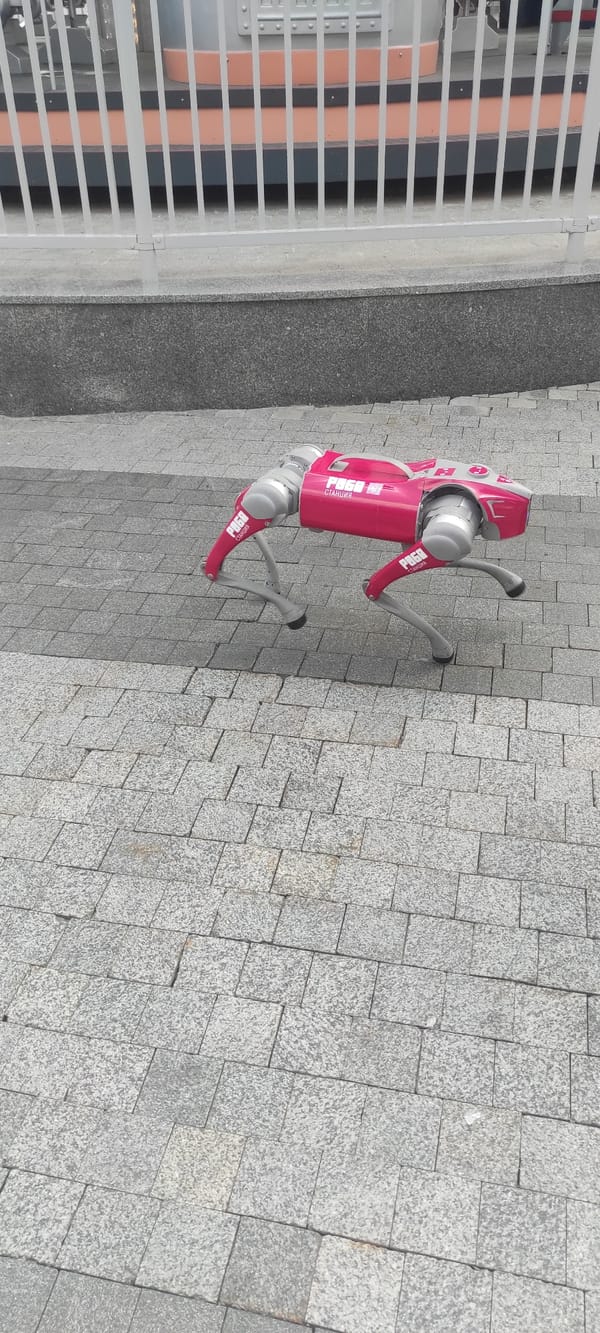 Morning visitors enjoy VDNKh attractions, robot demos in Moscow