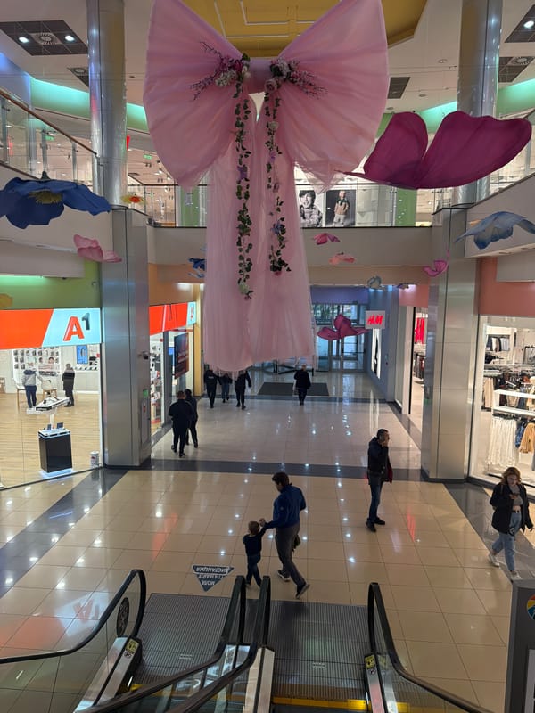 Shopping activity documented in Pleven mall with decorative displays