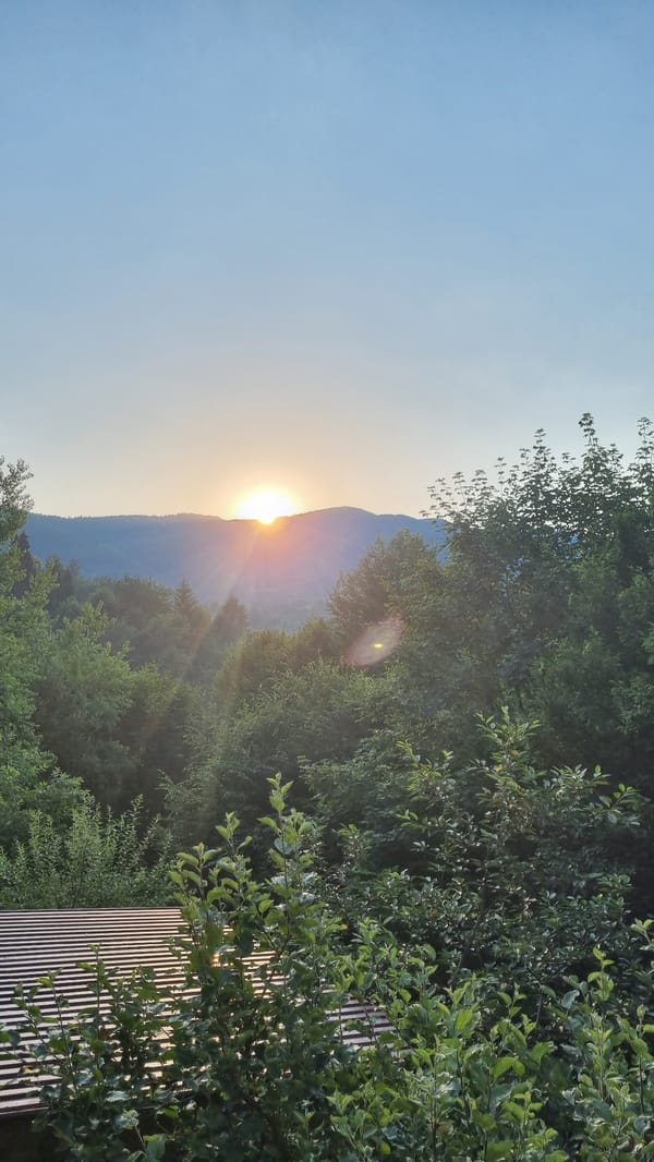 Dusk light over forested hills and valleys in Vyshka, Ukraine