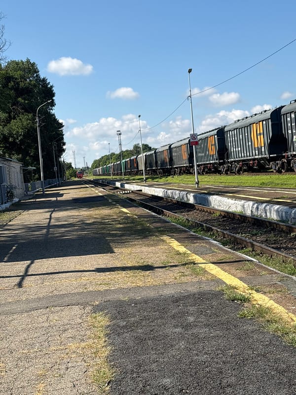 Freight trains and blue spruce trees at Mikhaylovsk station