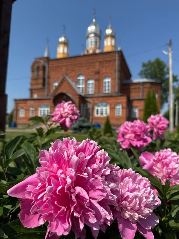 Garden scenes and Orthodox church documented in Chudovo, Russia