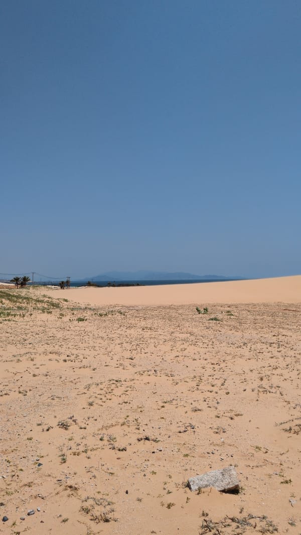 Early morning coastal landscape documented near Phuoc Dinh, Vietnam