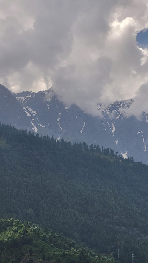 Quiet morning moments captured in Himalayan village of Vashisht