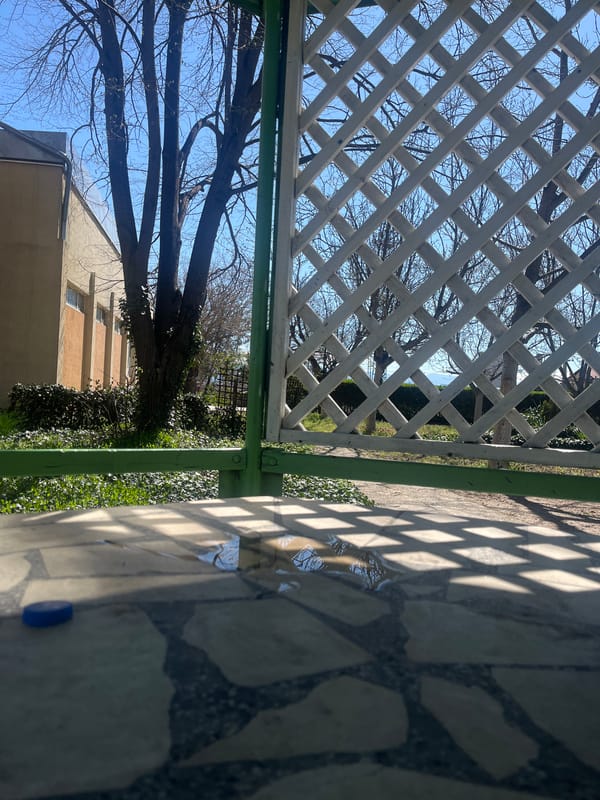 Spring view captured through lattice structure in Trud, Bulgaria