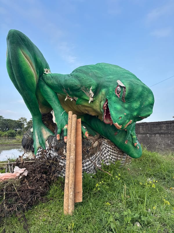 Rice paddy tilling and a festival dragon prop in Sukawati