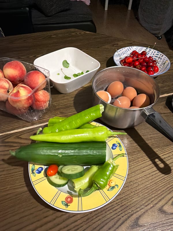 Evening meal preparation documented in Strasbourg residential area