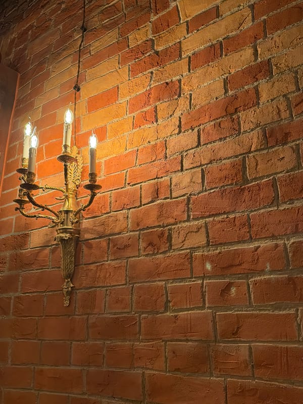 Moody vintage bar in Saint Petersburg, cocktails and velvet curtains