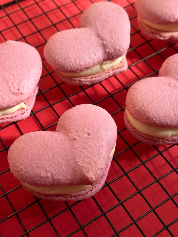 Tel-Aviv residents document macaron baking and dog play