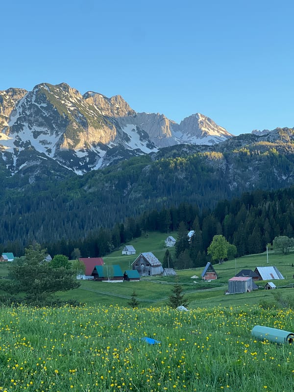 Spring wildflowers bloom in Montenegro mountain valley