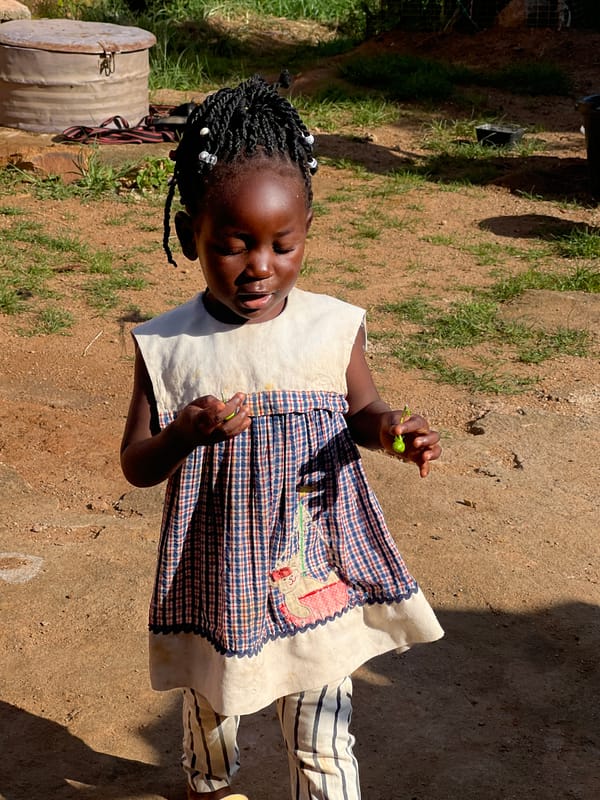 Kids in a sunlit Jos yard on a July morning