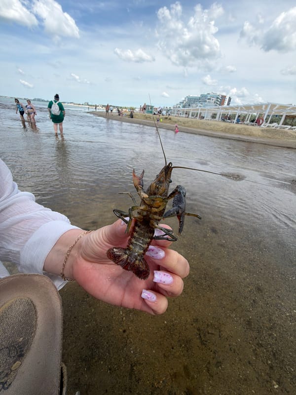 Person holds live crayfish at waterfront location