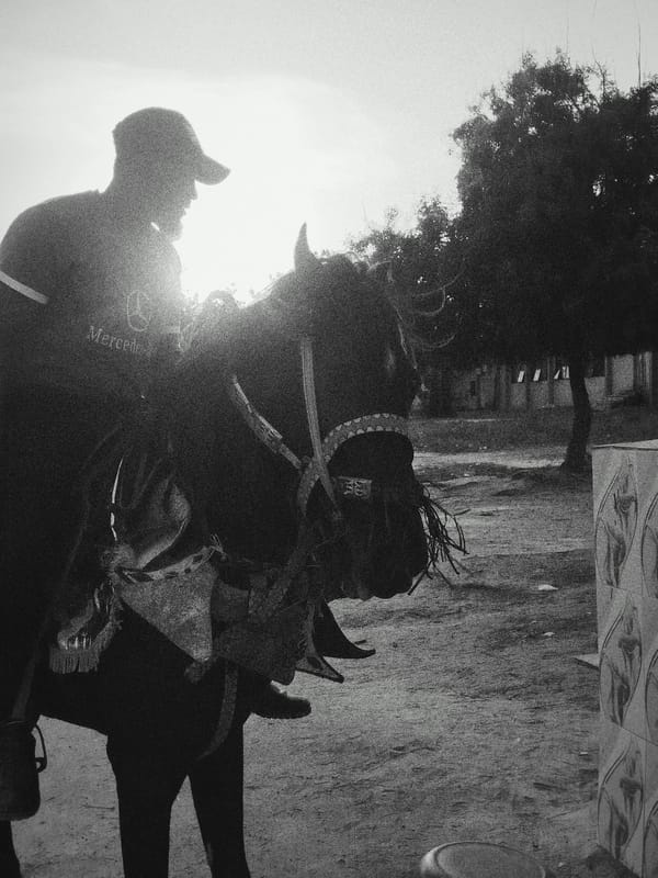 Man on horseback spotted in Keffi, Nigeria