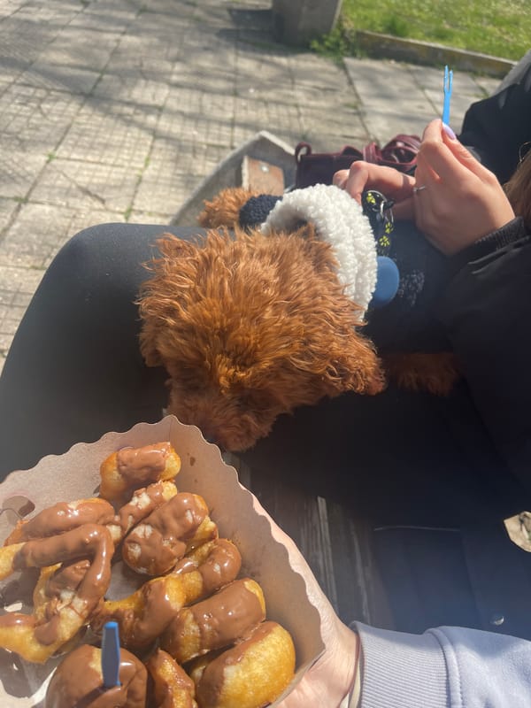 Spring morning scenes across Sofia capture daily life moments