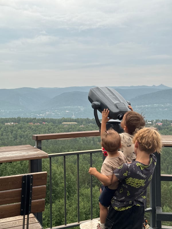 Forest observation park near Krasnoyarsk, walkways and valley views