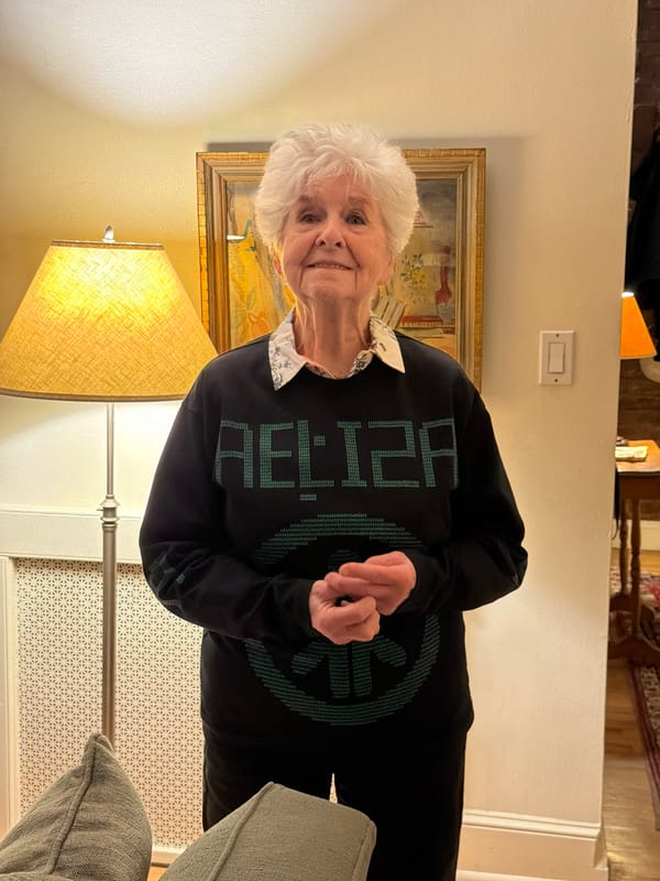 Woman in pixelated green lettered top observed in New York