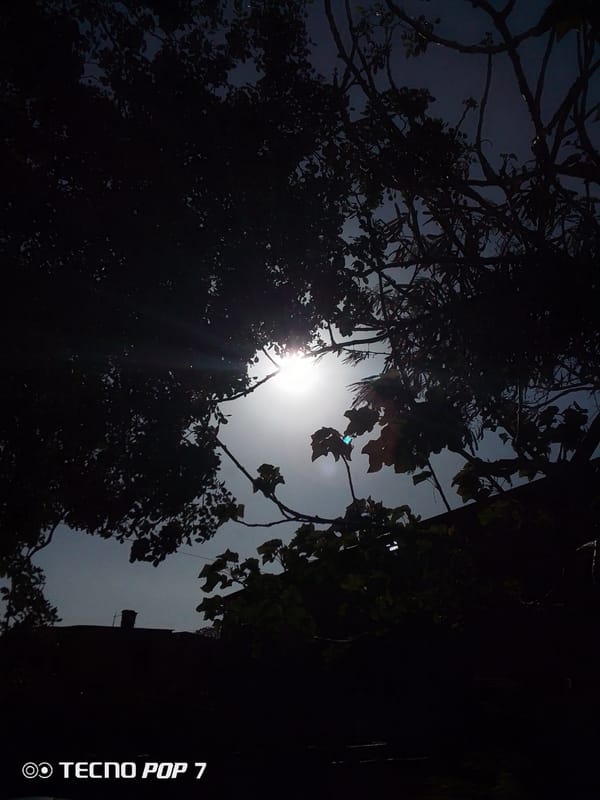 Sky watching moments captured in Altagracia, Venezuela