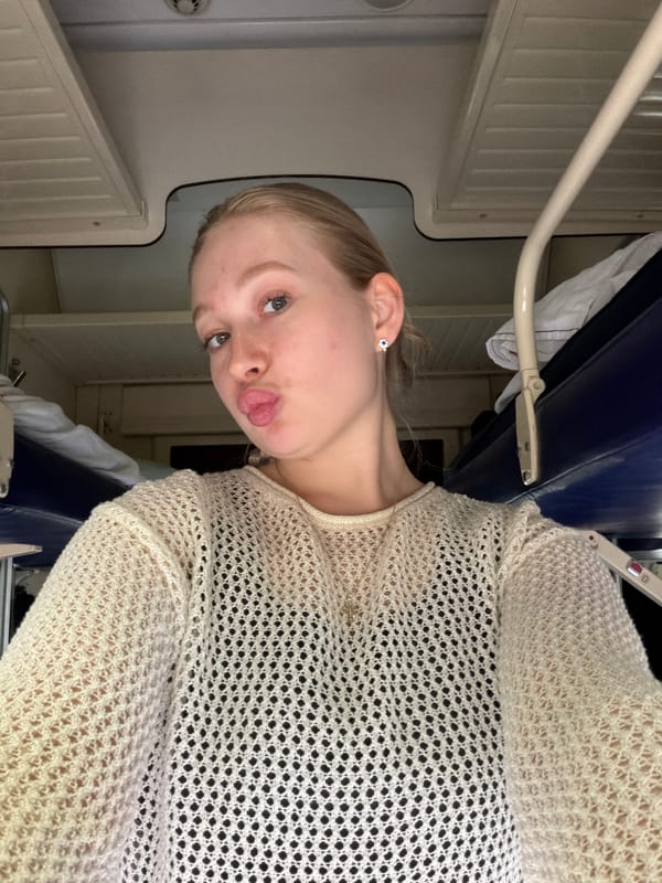 Train passenger with packed suitcase observed near Зелёный Дол