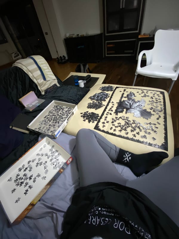 Quiet puzzle afternoon captured in Villaviciosa countryside home