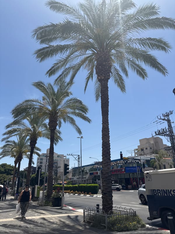 Morning street scenes captured across Raanana, Israel
