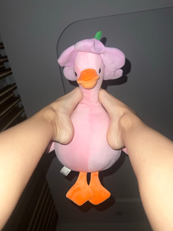 Person plays with pink plush toy in Vietnamese home