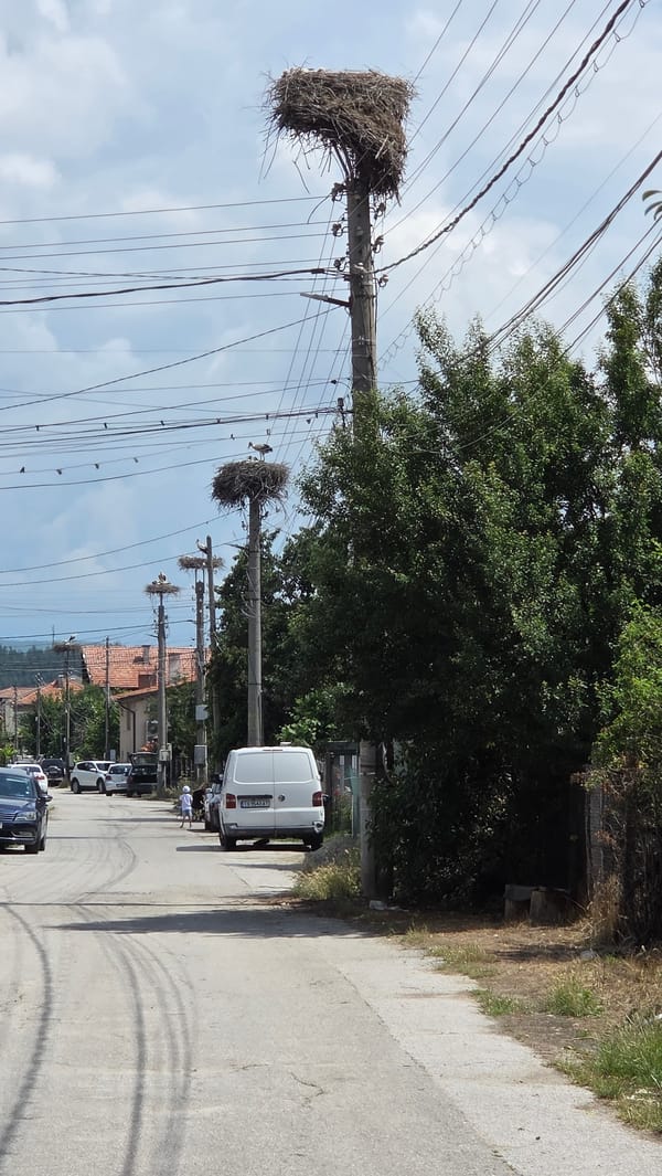 Horse-drawn cart rolling through a quiet Bulgarian village street