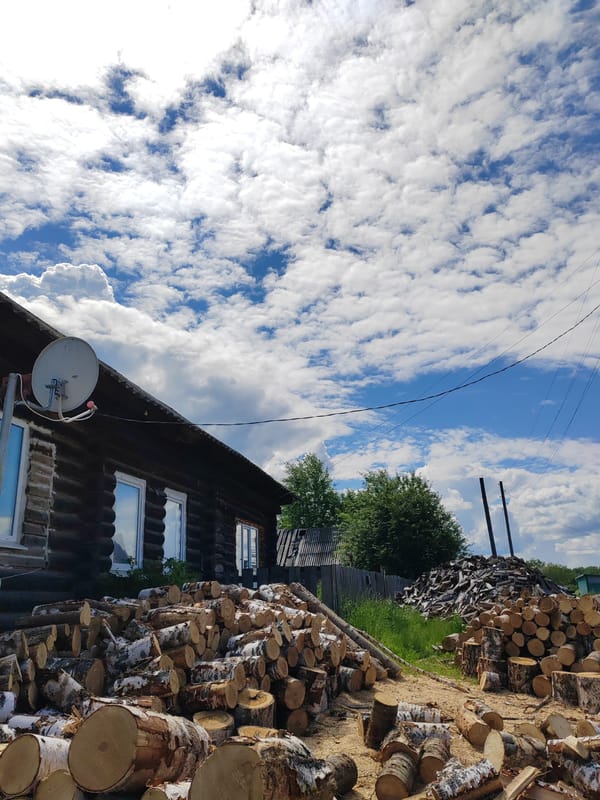 Children play in rural village amid logs, flowers on sunny morning