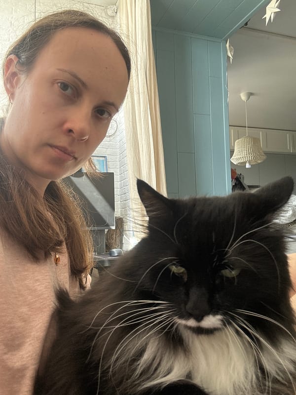 Lazy afternoon at home with a fluffy black and white cat