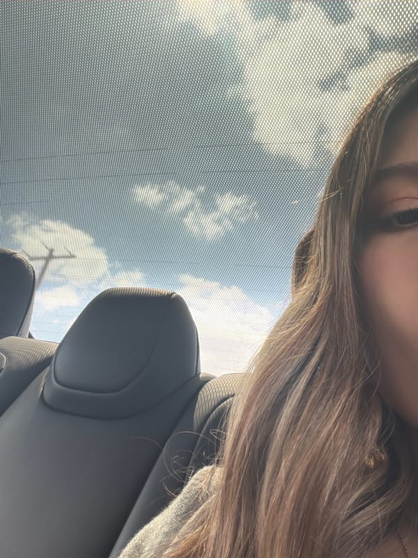 Partial portrait captured from vehicle interior in Austin