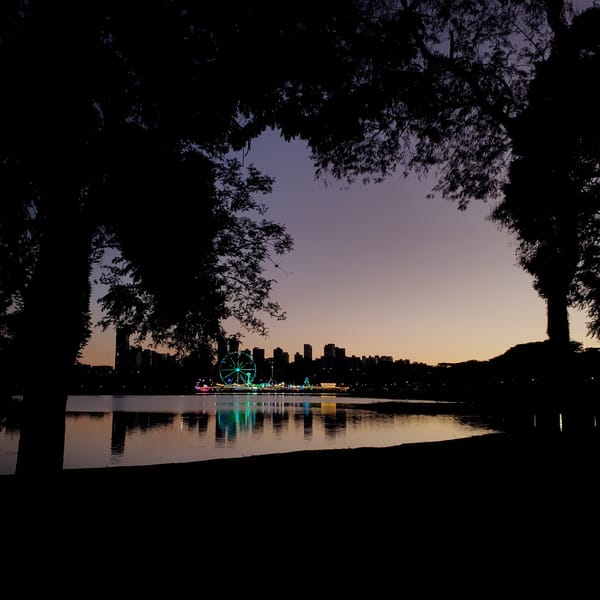 Capybara spotted relaxing at Curitiba's Barigui Park lake