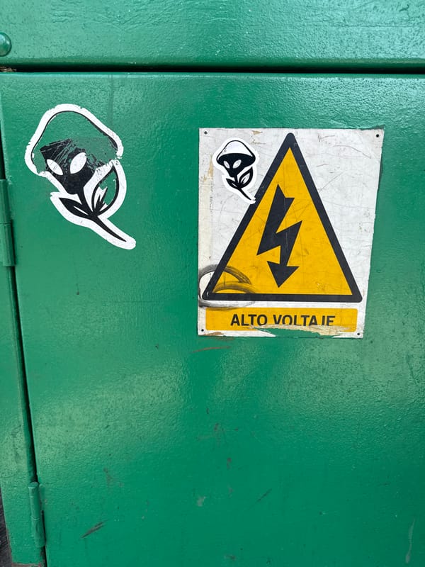 Green electrical cabinet with warning sign spotted in Puebla