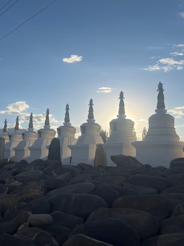 White stupas catch sunlight at Thiksey monastery, Ladakh