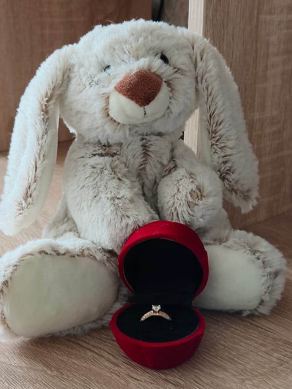 Proposal scene with plush bunny captured in Kryvyi Rih