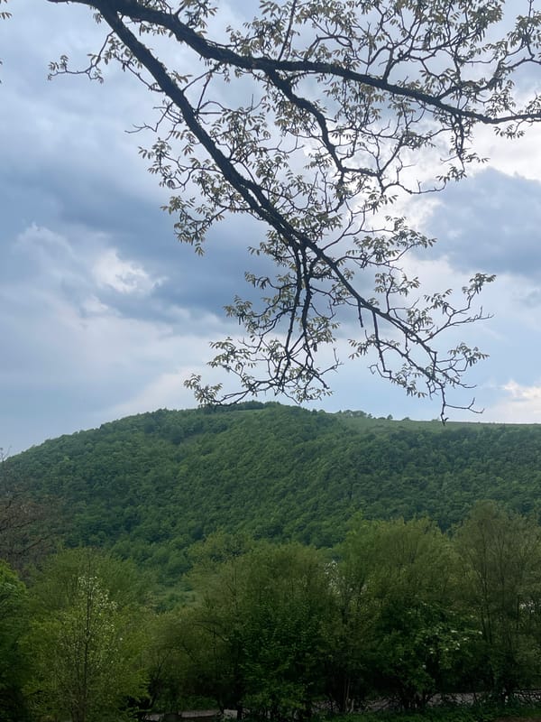 Spring landscapes documented in rural Chiatura, Georgia